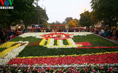 Flower street in Hanoi - ảnh 4